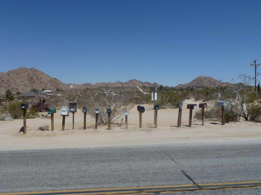 Joshua Tree National Park